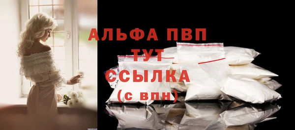прущие грибы Володарск